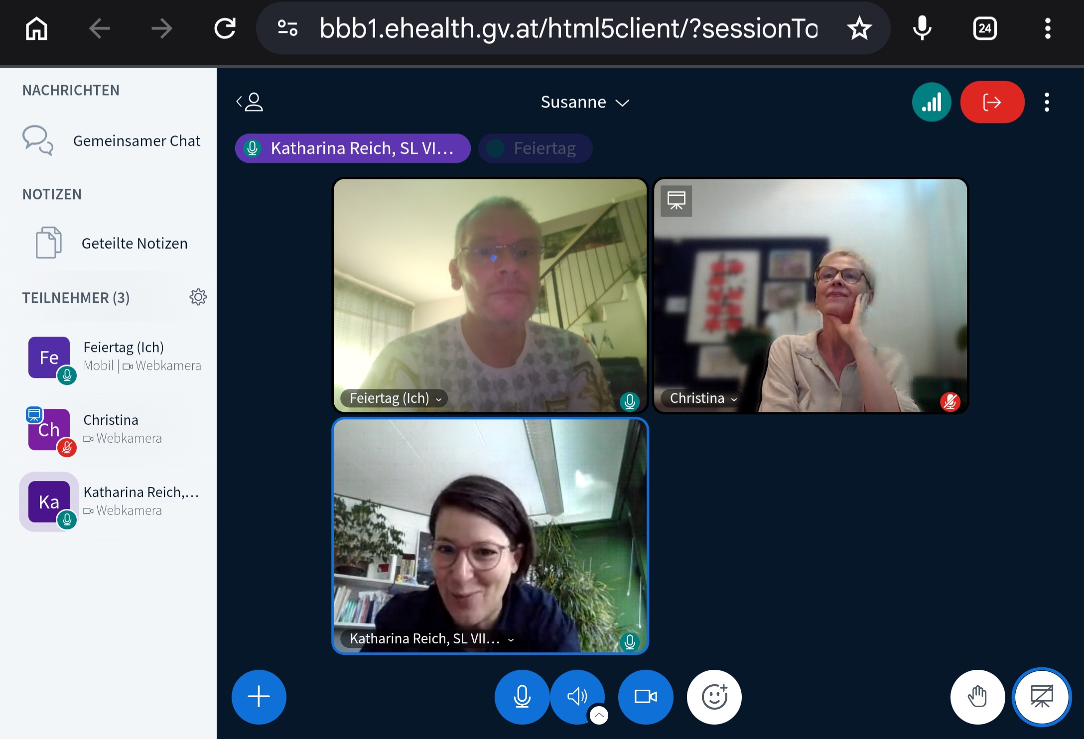 Online-Meeting von Markus Feiertag mit Katharina Reich und Christina Dietscher